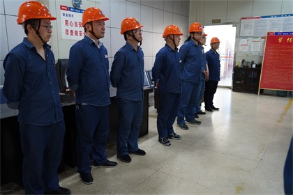 加壓百日紅 001.jpg 加壓百日紅 001.jpg