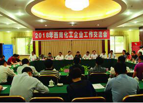 西南化工企業(yè)工作交流會在瀘天化召開