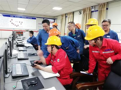 中國(guó)化學(xué)品協(xié)會(huì)專(zhuān)家組來(lái)我公司開(kāi)展安全診斷檢查