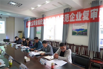 瀘天化股份公司通過“省級(jí)安全文化建設(shè)示范企業(yè)”復(fù)審驗(yàn)收現(xiàn)場(chǎng)審核